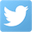 X (Twitter)